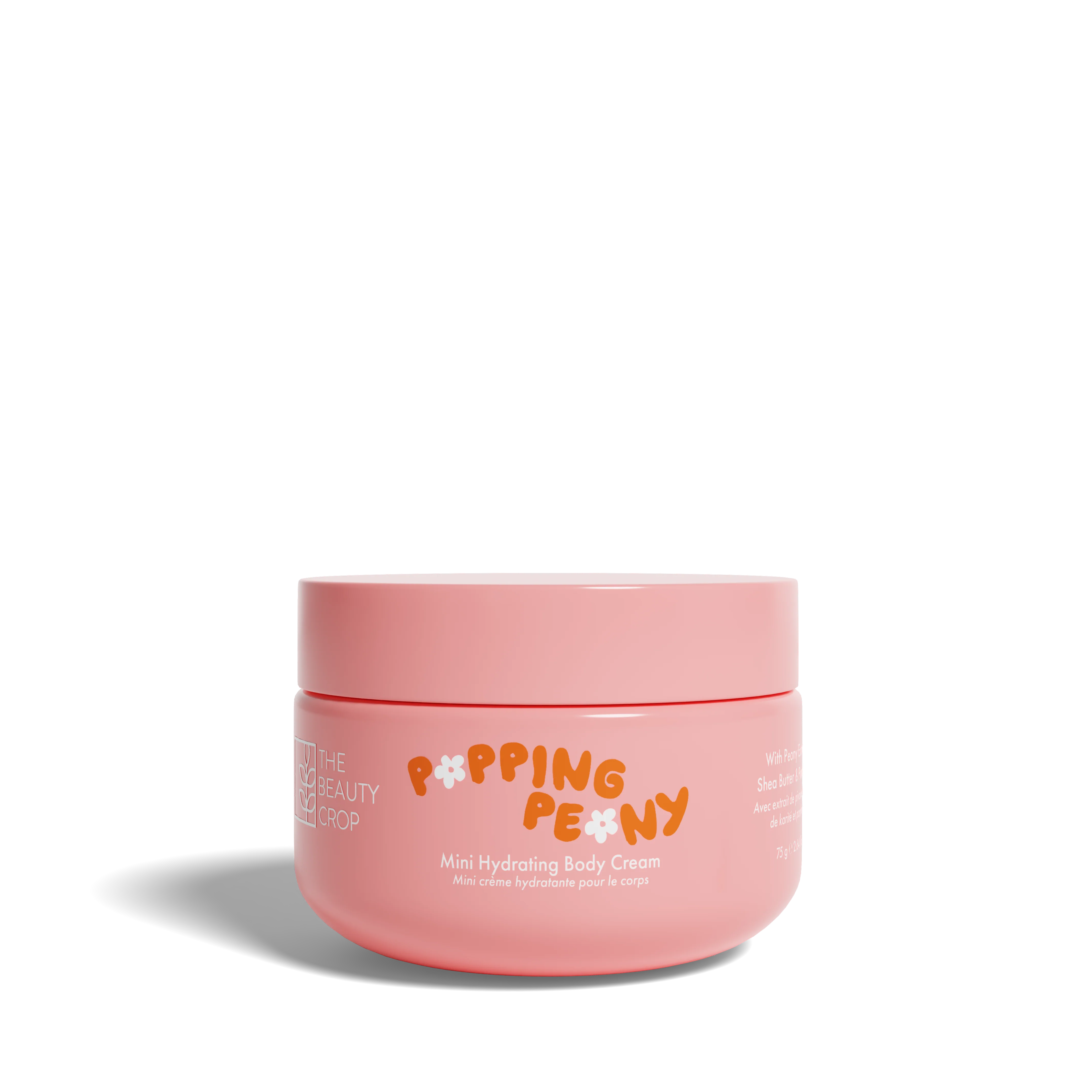 Thumbnail 12